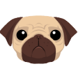 Pug